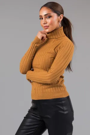 Brown Sugar Turtleneck Long Sleeve Knit Sweater