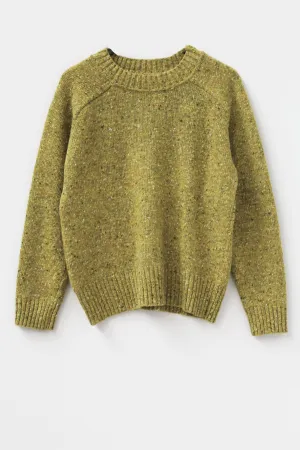 Donegal Merino Wool Sweater in Lime