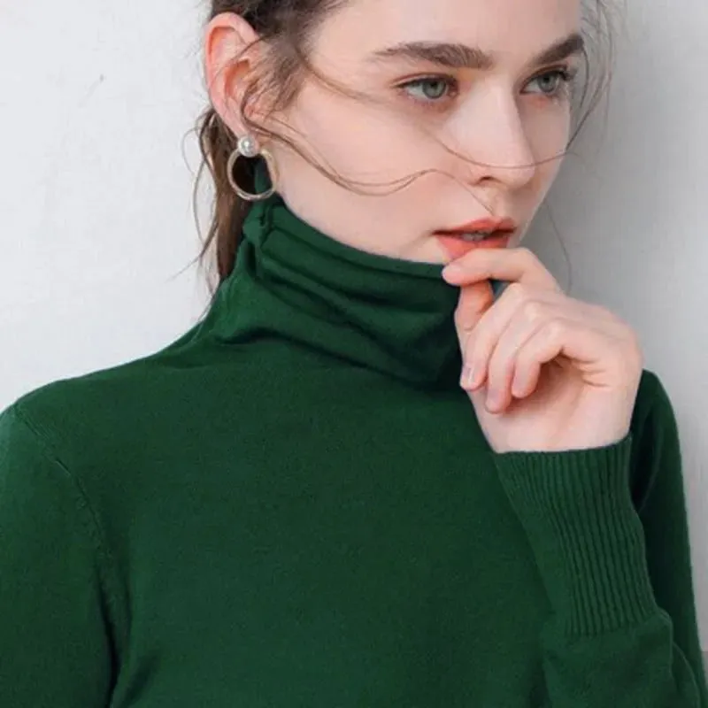 Slim Fit Basic Turtleneck Pullover Sweater