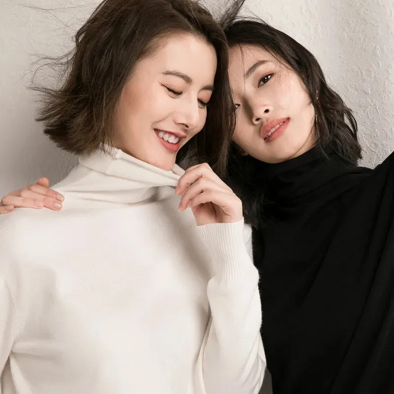 Slim Fit Basic Turtleneck Pullover Sweater